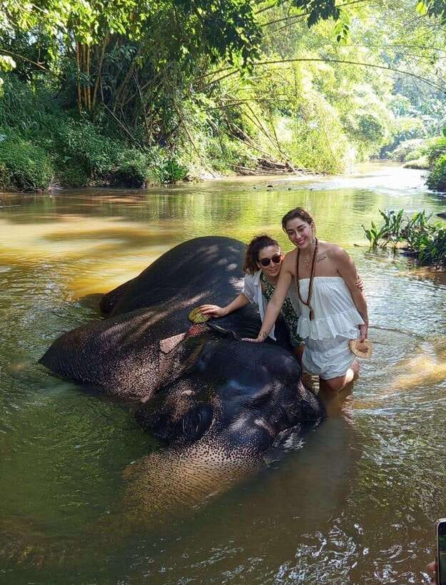 From Colombo or Negombo: Pinnawala, Kandy & Tea Factory Tour - A cultural stop at the Kandyan Cultural Centre