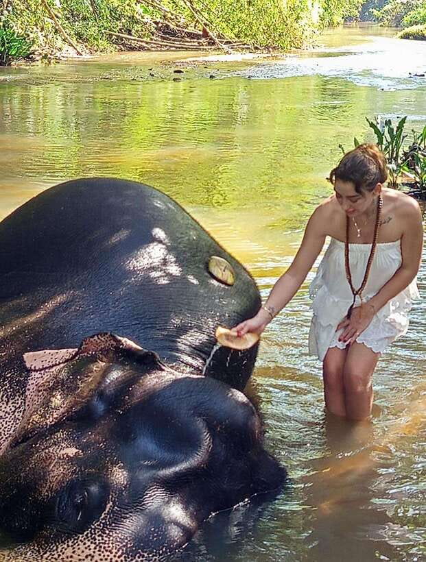 From Colombo or Negombo: Pinnawala, Kandy & Tea Factory Tour - Is $46 good value?