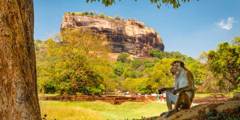 From Colombo: Sigiriya and Dambulla Day Trip with Safari - Who should book this Sigiriya and Dambulla trip?