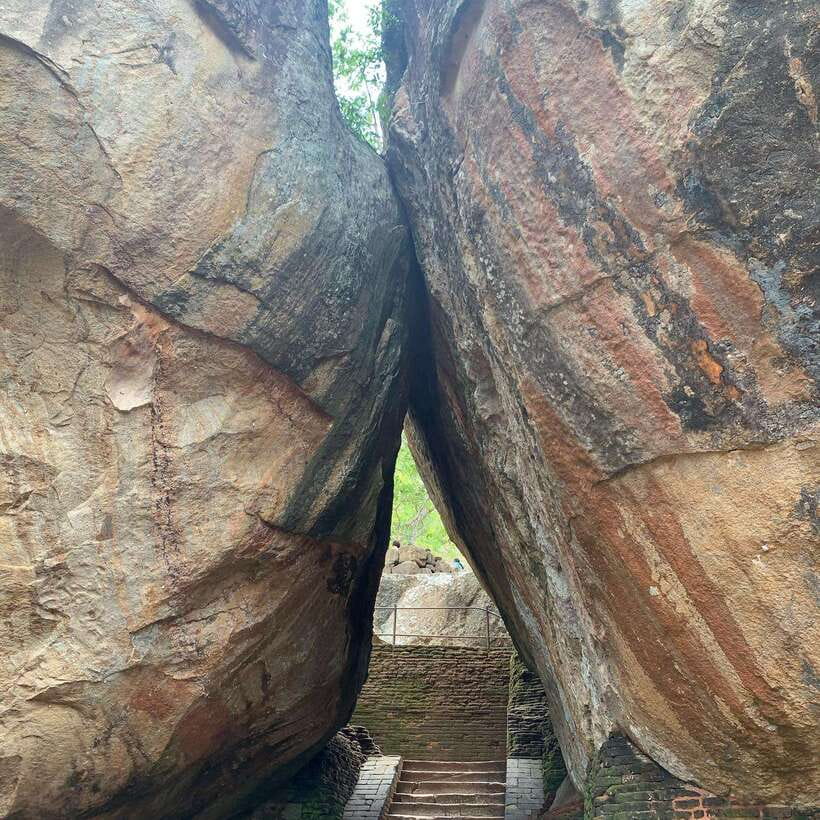 From Colombo: Sigiriya Rock, Dambulla & Minneriya 4x4 Safari - Who Will Enjoy This Sri Lankan Day Trip