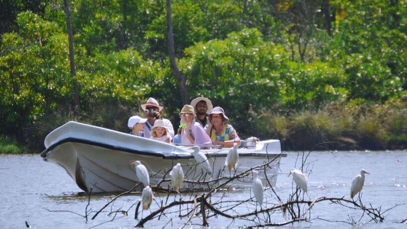 From Colombo to Galle Fort and Jungle Beach Day Trip - Hikkaduwa brings coral, turtles, and a busy coastal feel