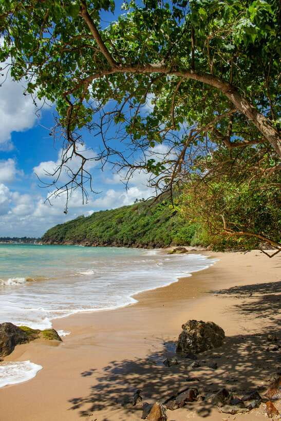 From Colombo to Galle Fort and Jungle Beach Day Trip - Galle Fort rewards a guided walk