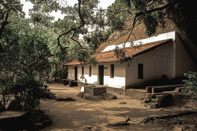 From Colombo to Sigiriya Fortress, Dambulla & Minneriya Safari - Who should book this experience