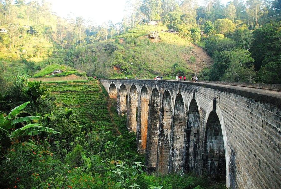 From Ella - All Inclusive Unforgettable Day Trip Tour - Demodara Loop shows off Sri Lanka’s railway skill