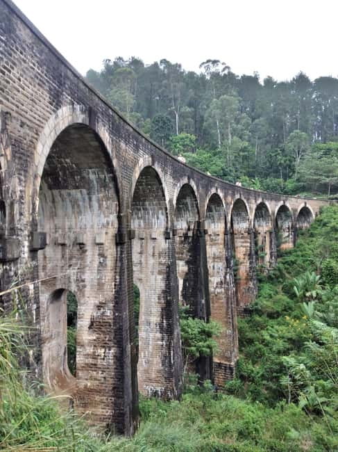 From Ella: Ella Unfogettable Day tour & Train Ride Tour - Why this Ella day tour works well