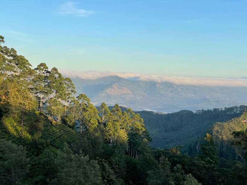 From Ella: Lipton Seat & Dambatenne Tea Factory Day Tour - From Ella into Sri Lanka’s tea country
