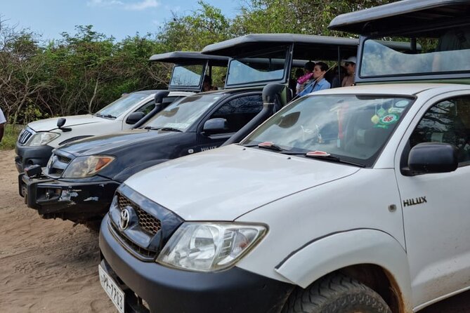 From Ella: Private Yala Safari & Transfer/Tangalle/Mirissa/Galla - Who will get the most from this safari