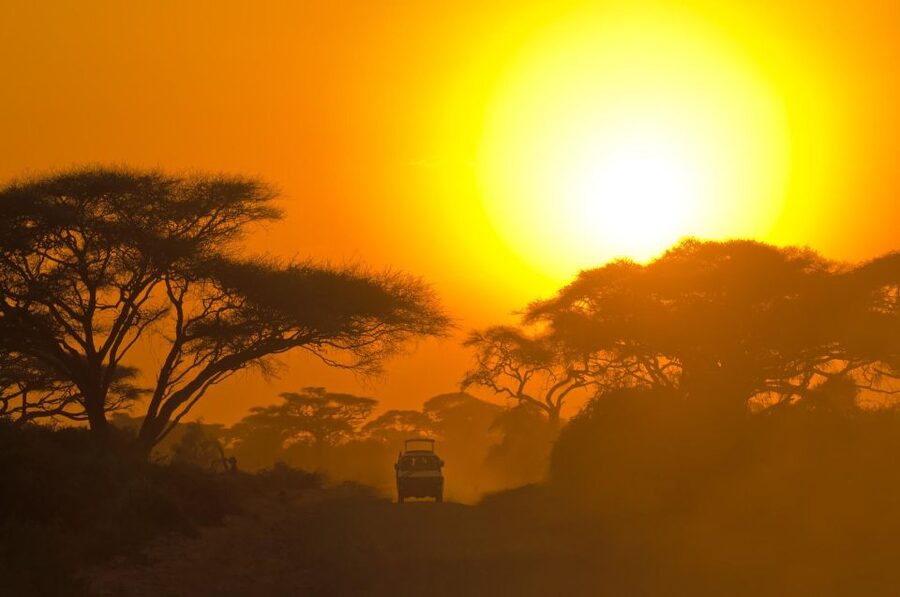 From Ella: Shuttle to Down South Any Location w Yala Safari - Leopards, elephants, and what you might actually see