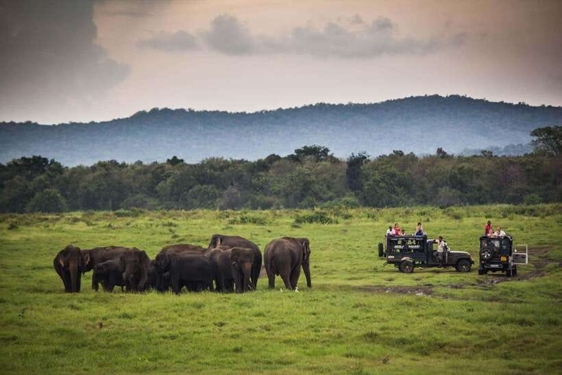 From Ella: Udawalawa Safari and Tangalle/Hiriketiya Transfer - Is $48 good value for this route?
