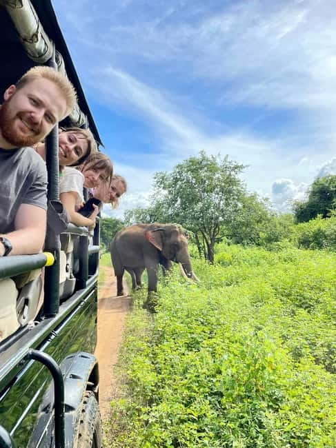 From Ella : Udawalawa Safari & Drop Tangalle/ Mirissa/ Galle - Key points to know before booking