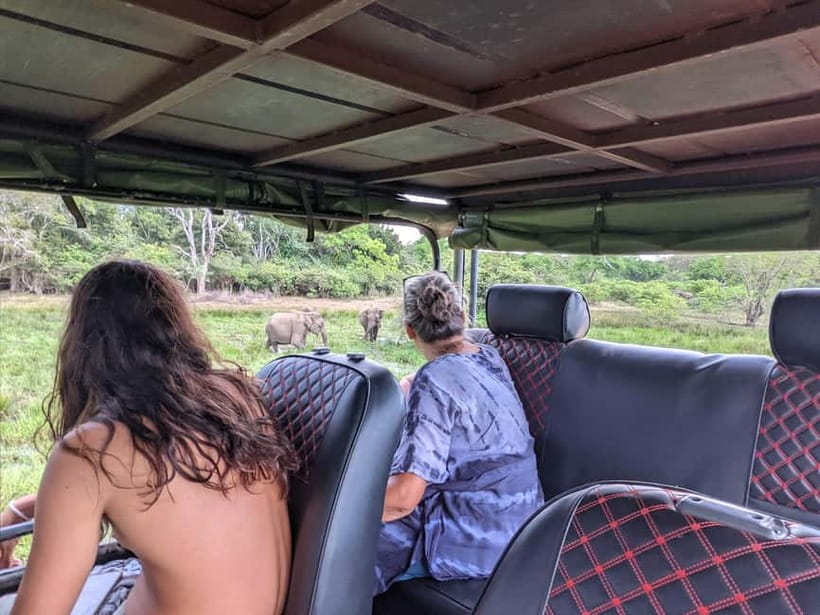 From Ella : Udawalawa Safari & Drop Tangalle/ Mirissa/ Galle - The southbound transfer to Mirissa, Galle, or Tangalle