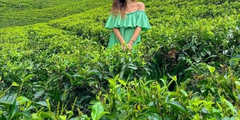From Ella -Unforgettable Day Trip of 8 Sights & Train - Little Adam’s Peak, the gentler final climb