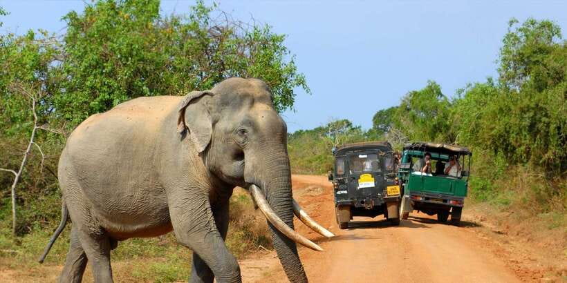 From Ella: Yala National Park Jeep Safari Tour - Entering Yala for the afternoon drive