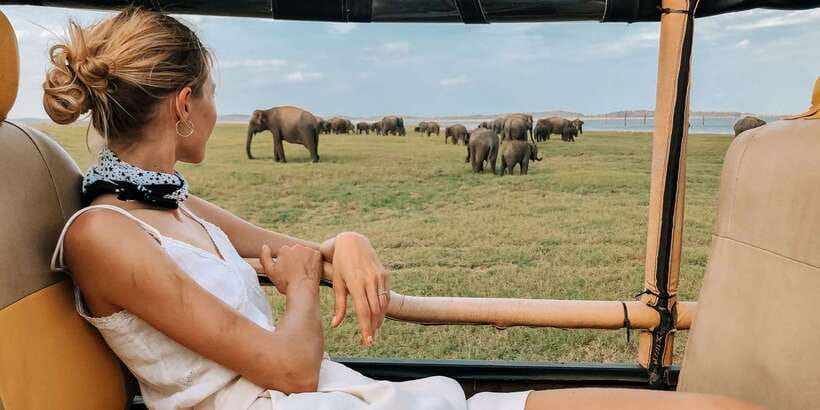 From Ella: Yala National Park Safari Tour in a 4x4 - Entering Yala National Park in a sturdy 4x4