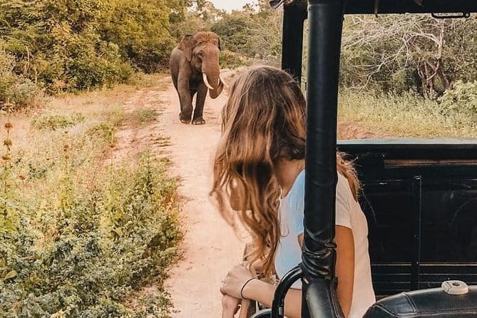 From: Ella - YALA Safari - Drop off: Arugam Bay / Arugambay - Entering Yala near the 6 a.m. opening
