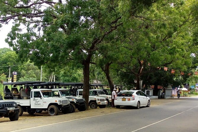 From: Ella - YALA Safari - Drop off: Arugam Bay / Arugambay - What a leopard sighting really involves