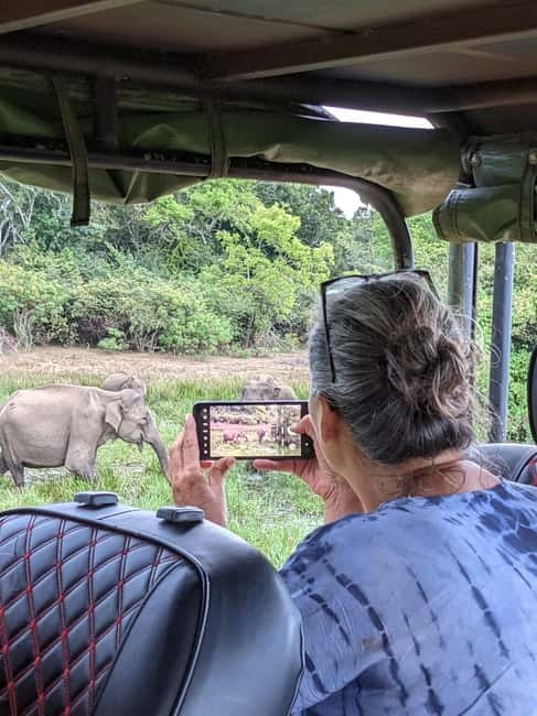 From Ella: Yala Safari & Transfer to Tangalle/Mirissa/Galle - A separate transfer vehicle can be an advantage