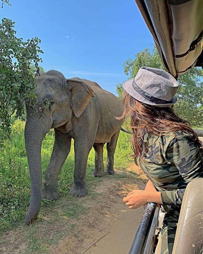 From Ella: Yala Safari with Tangalle/Mirissa/Galle Drop-off - Leaving Ella before sunrise