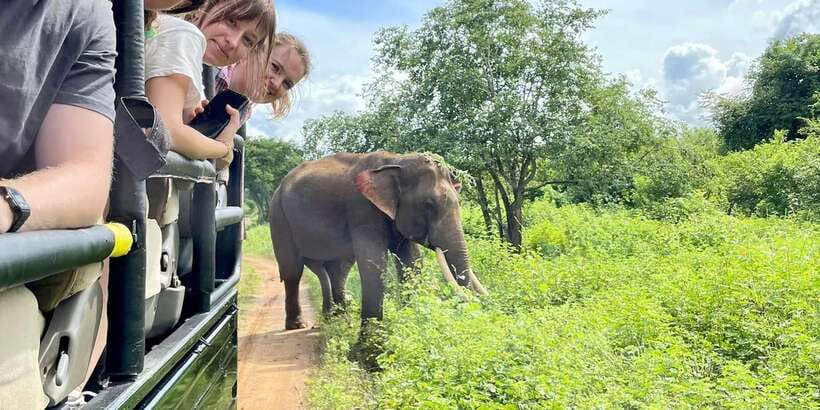 From Galle/Hikkaduwa/Mirissa Trip to Udawalawe Safari Tour - Key points to know before booking