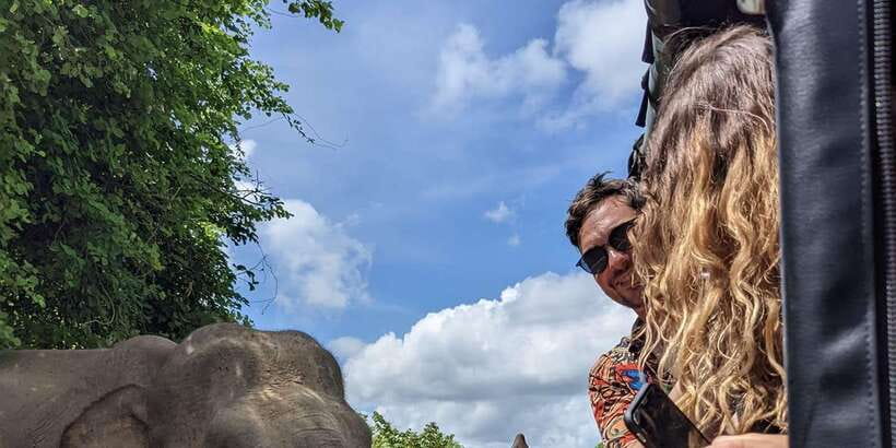 From Galle/Hikkaduwa/Mirissa Trip to Udawalawe Safari Tour - Should you book Tiger Safaris for Udawalawe?