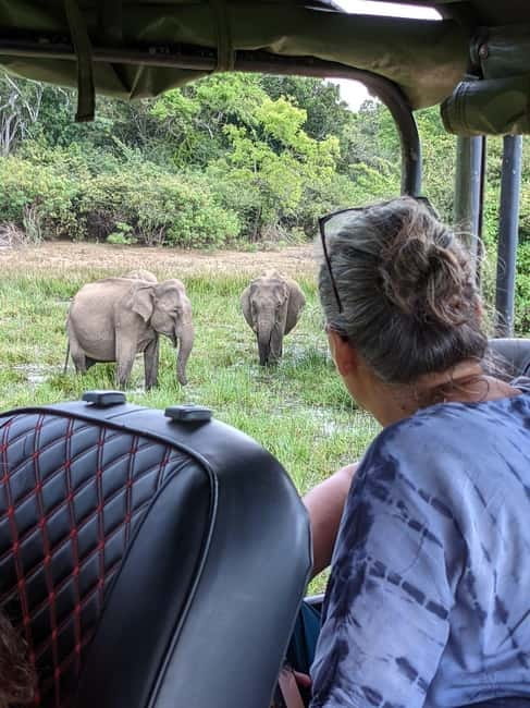 From Galle/ Mirissa/ Tangalle : Udawalawa Safari & Drop Ella - A pause by the Udawalawe Reservoir