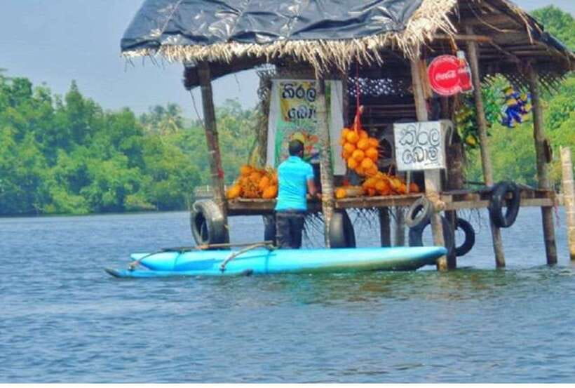 From Kalutara: Exclusive Madu River Safari & Turtle Hatchery - Key points to know before booking