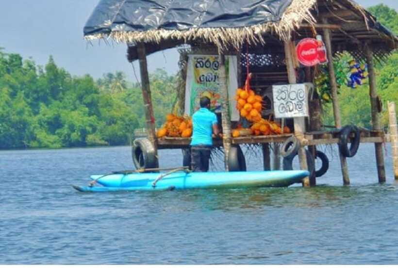 From Kalutara: Exclusive Madu River Safari & Turtle Hatchery - What the $80 price really includes