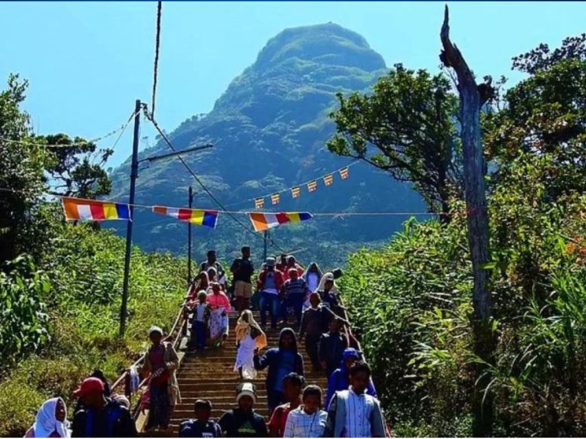 From Kandy: All Inclusive Adams Peak Epic Guided Hike - Key points to know before booking