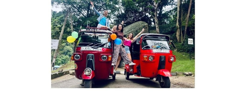 From Kandy: Dambulla to Sigiriya Day Tours - Drivers, vehicles, and the real value