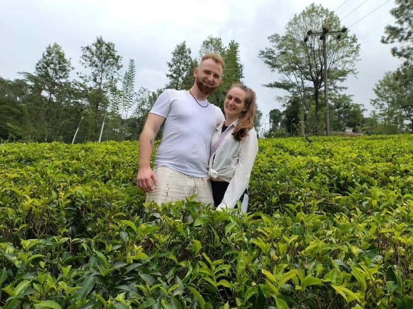 From Kandy: Ella Drop Tour via Nuwara Eliya - Practical tips for making the day better