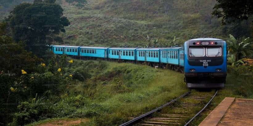 From Kandy: Nuwara Eliya by Train - Arriving at Nanuoya and climbing to Nuwara Eliya