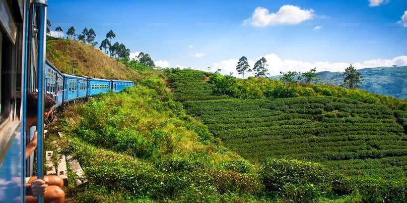 From Kandy: Nuwara Eliya by Train - Lunch at about 1:30 PM, paid separately