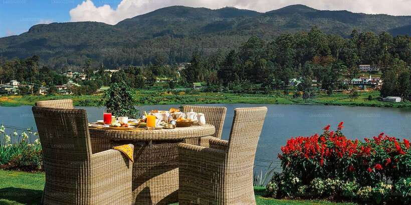 From Kandy: Nuwara Eliya by Train - Meeting your guide and handling the railway details