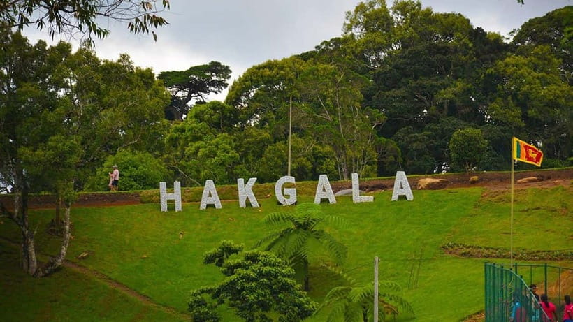 From Kandy: Nuwara Eliya Tour via Ambuluwawa [Private Tour] - What the $29 price really covers