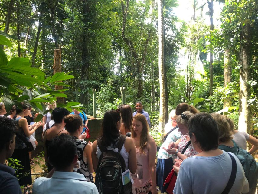From Kandy: Pinnawala Day Tour - Pinnawala at 22 kilometres
