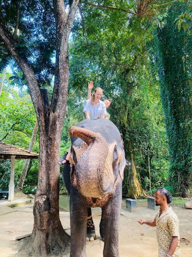 From Kandy : Pinnawala Elephant Orphanage & Ambuluwawa Tower - Culture, food, and the guide’s role