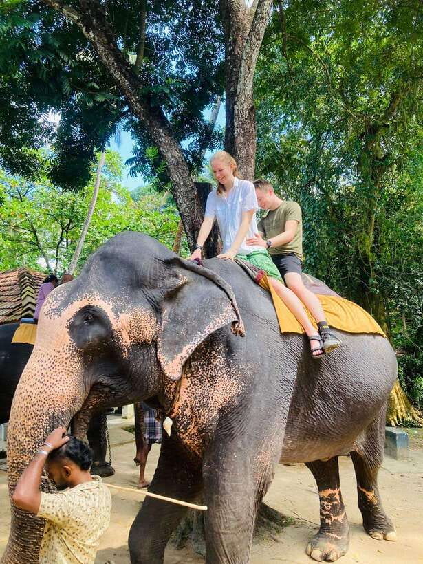 From Kandy : Pinnawala Elephant Orphanage & Ambuluwawa Tower - What this Kandy day trip is really like