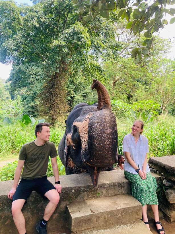 From Kandy : Pinnawala Elephant Orphanage & Ambuluwawa Tower - Royal Botanic Gardens and the Mahaweli River