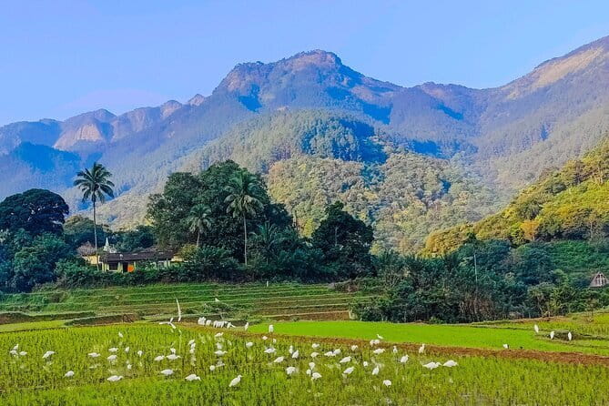 From Kandy to ELLA Private day tour - Nuwara Eliya Post Office and the old hill-town feel