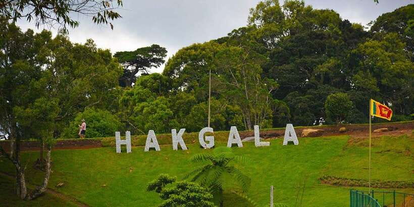 From Kandy To Nuwara Eliya Drop Tour - Private Tour - The post office is a quick but worthwhile final stop