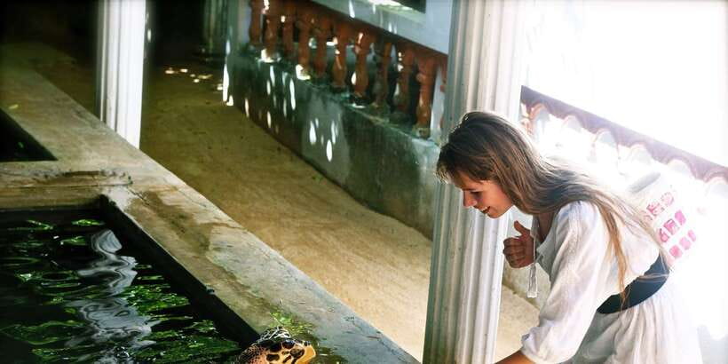 From Negombo: Bentota Full-Day Tour - Kothduwa Temple and the Madu Ganga island setting