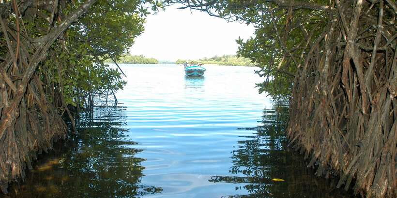 From Negombo: Bentota Full-Day Tour - FAQ