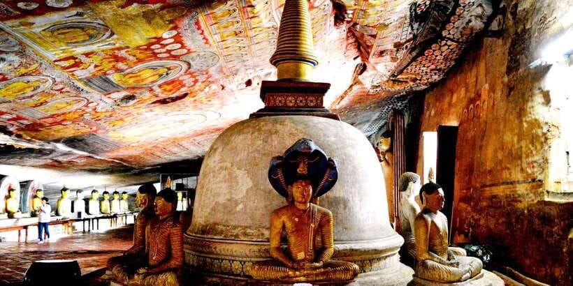 From Negombo: Sigiriya and Dambulla Day Trip and Safari - The optional safari after Sigiriya
