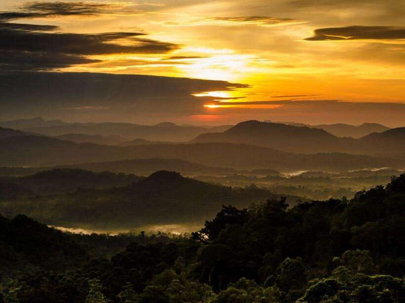 From Nuwara Eliya: Summit Bliss, Adams Peak Guided Hike - Key points to know before you book
