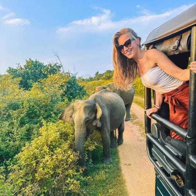 From Sigiriya : Hurulu Eco Park Safari : All Inclusive - Should you book this Hurulu Eco Park safari?