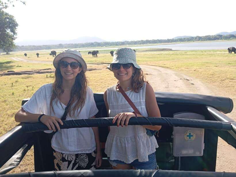 From Sigiriya: Minneriya National Park Half-Day Jeep Safari - Why Minneriya’s elephants are the main event