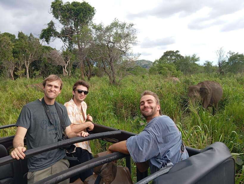 From Sigiriya: Minneriya National Park Half-Day Jeep Safari - What the 3 to 4-hour park drive feels like