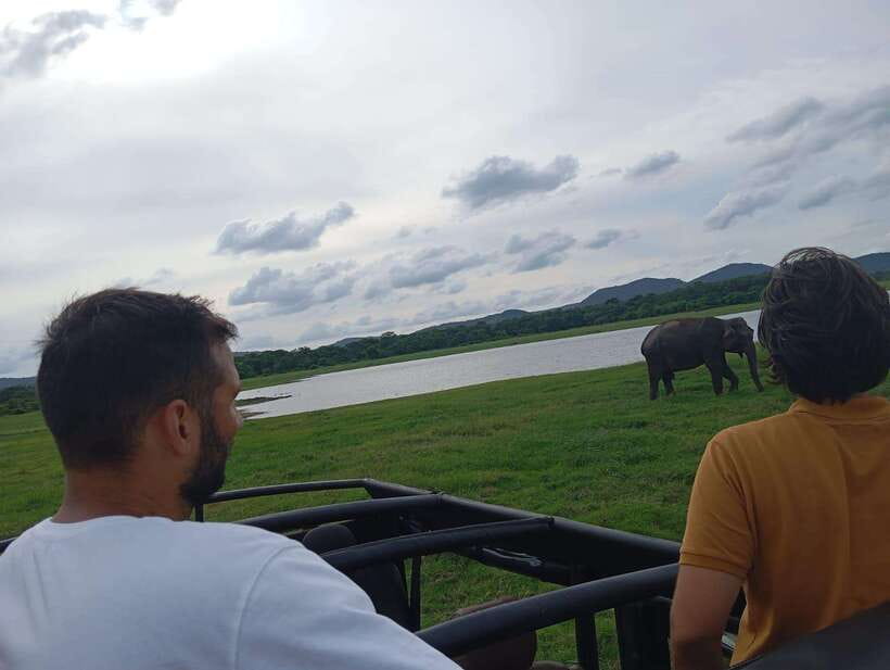 From Sigiriya: Minneriya National Park Half-Day Jeep Safari - The guides and the quality of the day