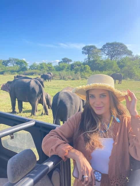 From Sigiriya: Minneriya National Park Private Jeep Safari - Key points before you book