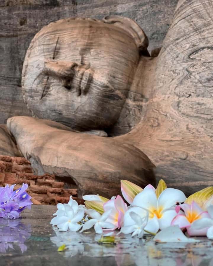 From Sigiriya :Polonnaruwa Ancient City Tour/Day Tour - Gal Vihara and the Best Stone Carvings